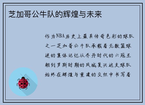 芝加哥公牛队的辉煌与未来